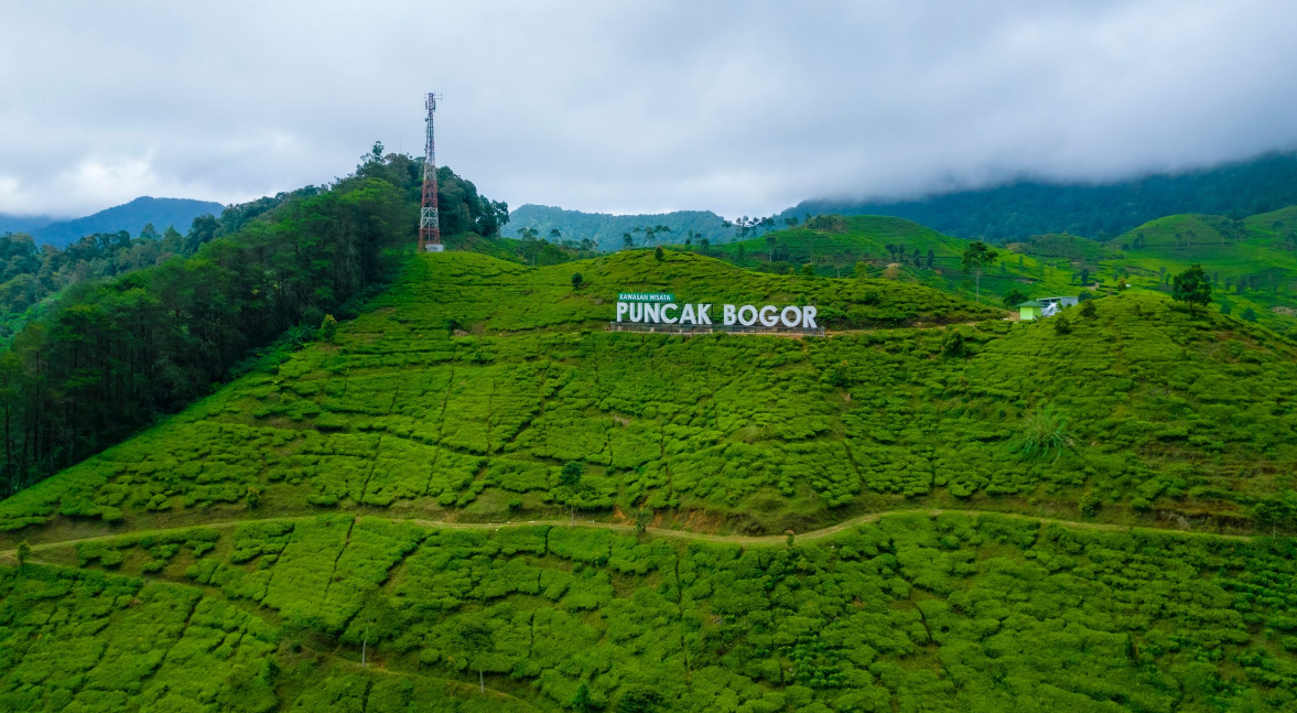 Petualangan Seru dengan Sewa Mobil